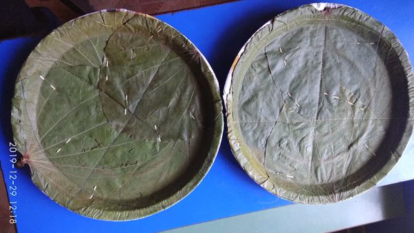 Disposable plates (made up of natural leaves), ava
